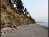 a beach with a cliff and trees on it
